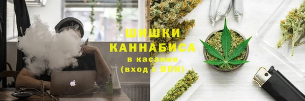 амф Абинск