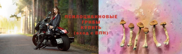 амф Абинск