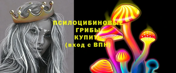 крисы Алексин