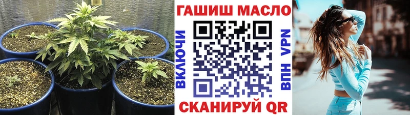 Дистиллят ТГК гашишное масло  цены   hydra как войти  Таганрог 