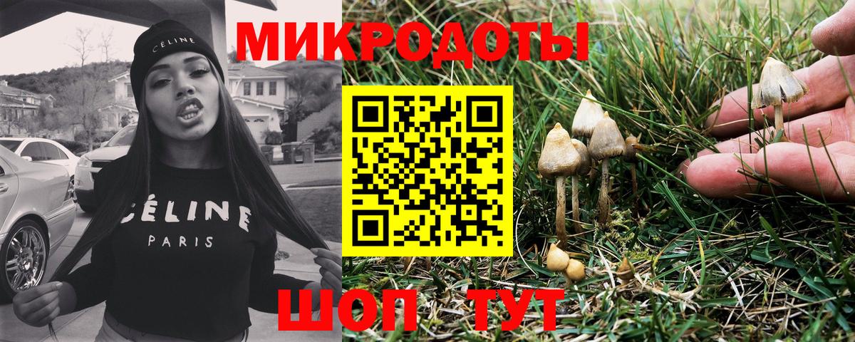 Псилоцибиновые грибы Таганрог