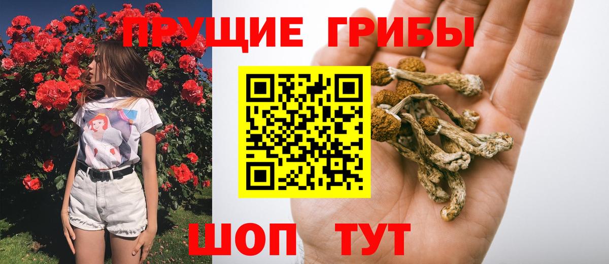 Таганрог  Псилоцибиновые грибы Psilocybe  купить   Вход с VPN 