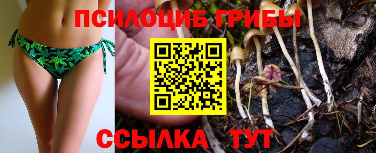 Псилоцибиновые грибы прущие грибы Таганрог